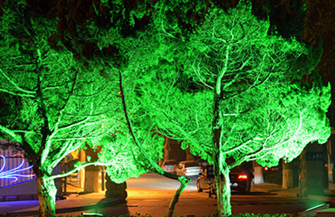 1510397318825973.jpg 7.jpg